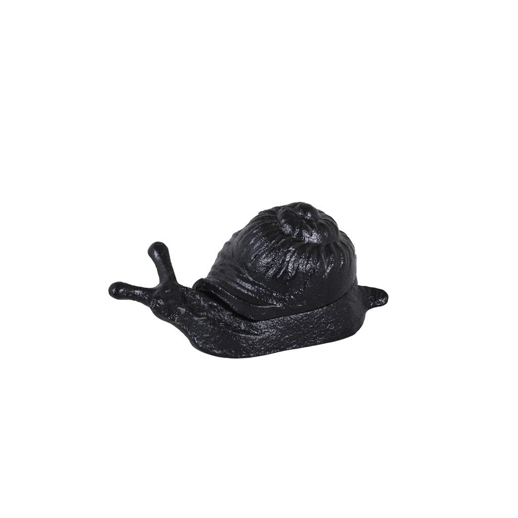 Box Snail Cast Iron Black