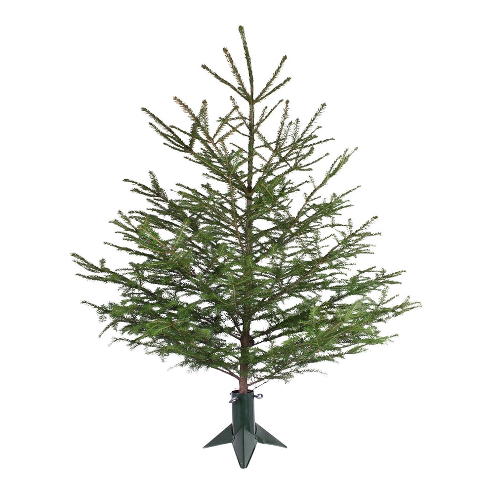 Christmas Tree Stand Small Green