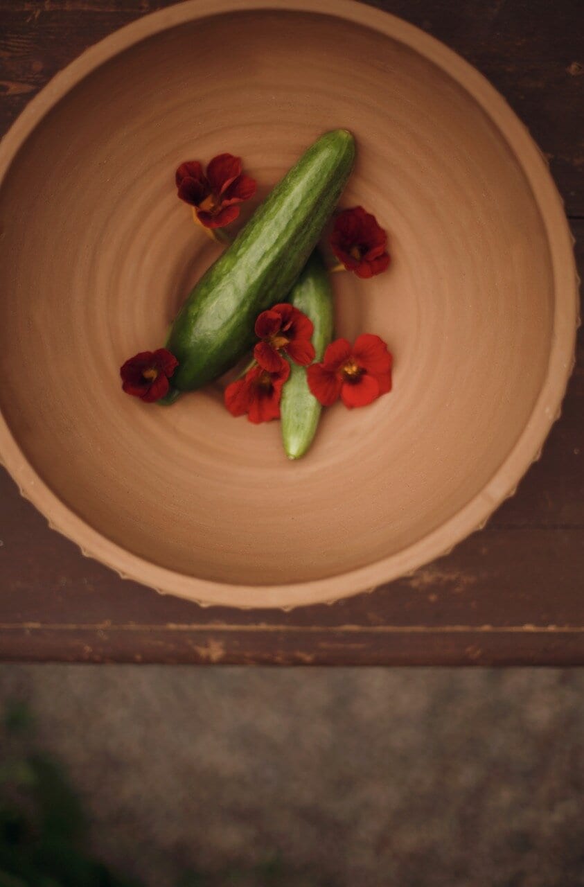 Bowl Diego Earthenware Terracotta